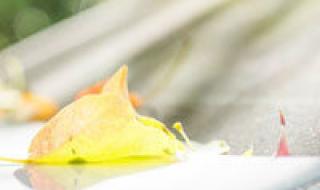 四平青年完整版 四平青年完整版