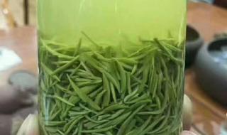 信阳毛尖什么茶 信阳毛尖什么茶