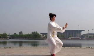 杨氏太极拳85式 杨氏太极拳85式